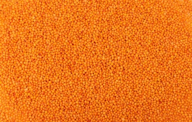 Čočka červená celá 25 kg